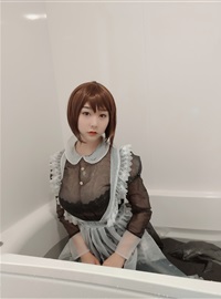 NO.17 Transparent Maid(18)